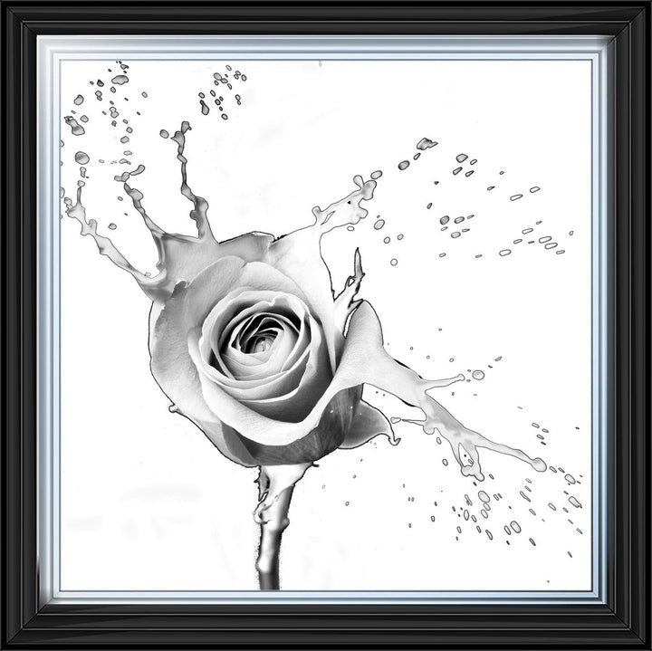 FL016 Rose Splash White