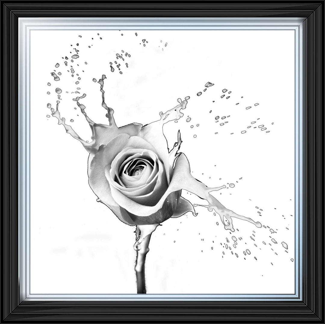 FL016 Rose Splash White