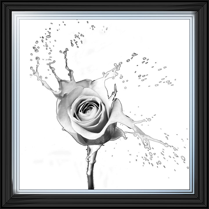 FL016 Rose Splash White