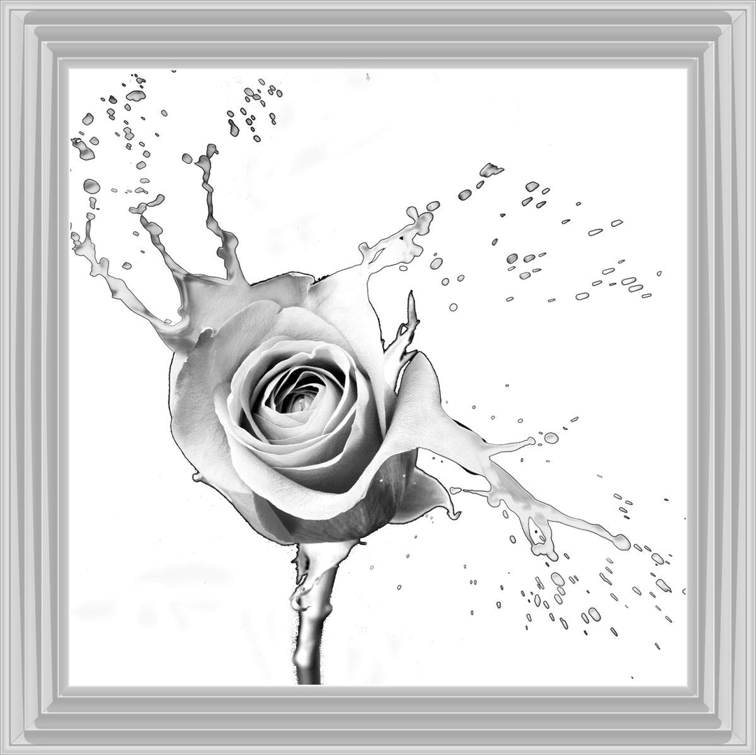 FL016 Rose Splash White