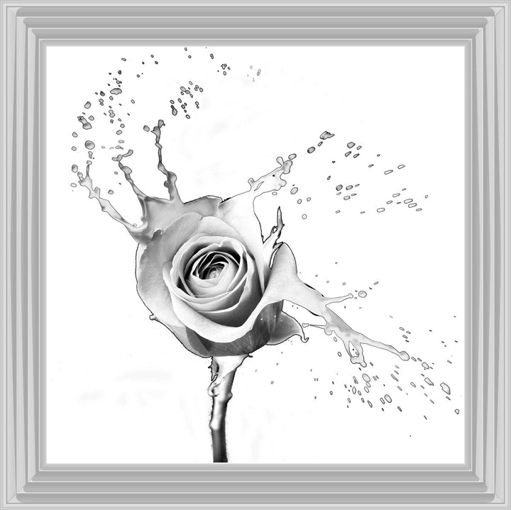 FL016 Rose Splash White