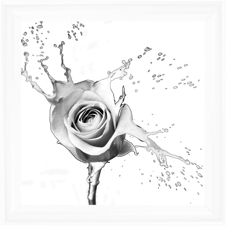 FL016 Rose Splash White