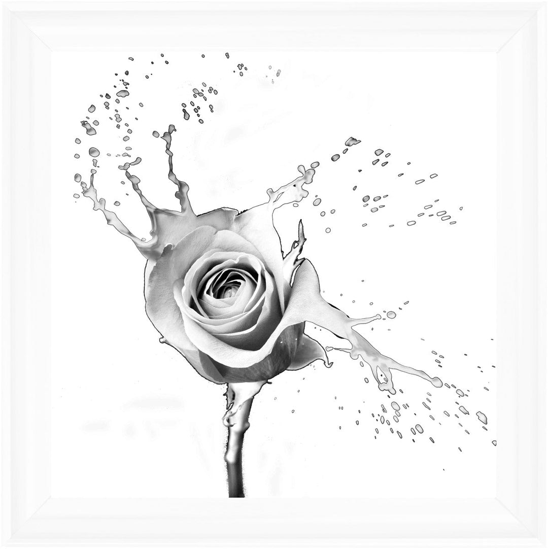 FL016 Rose Splash White