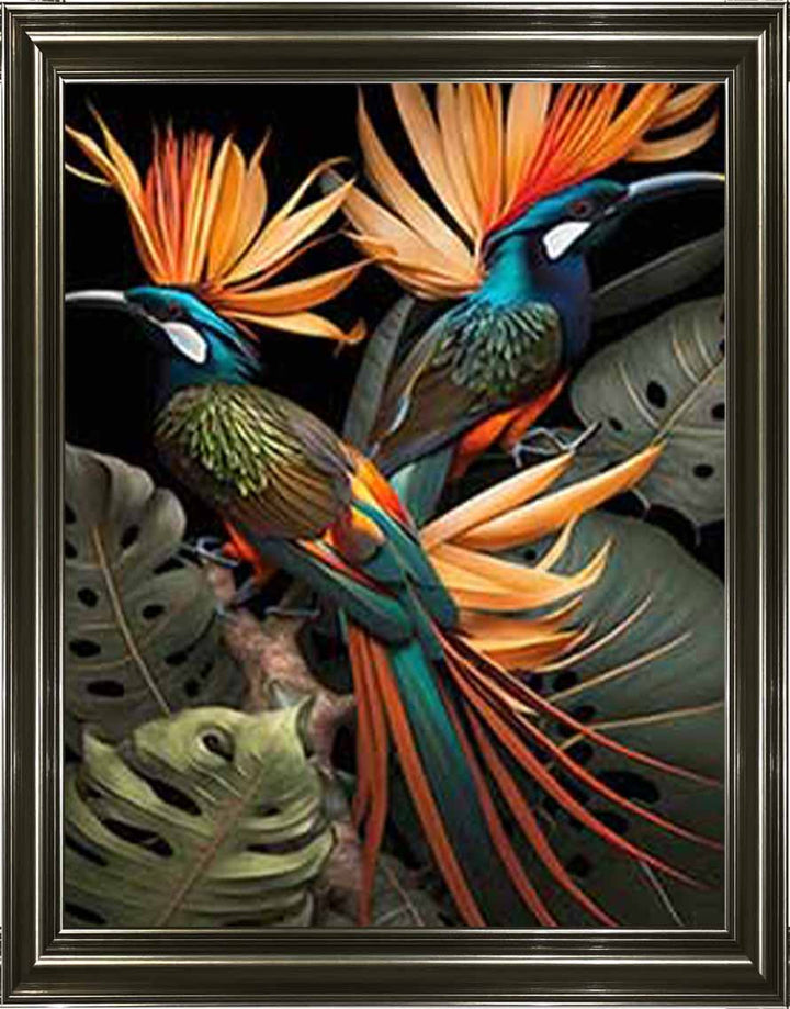 AN1053 Birds From Paradise ||