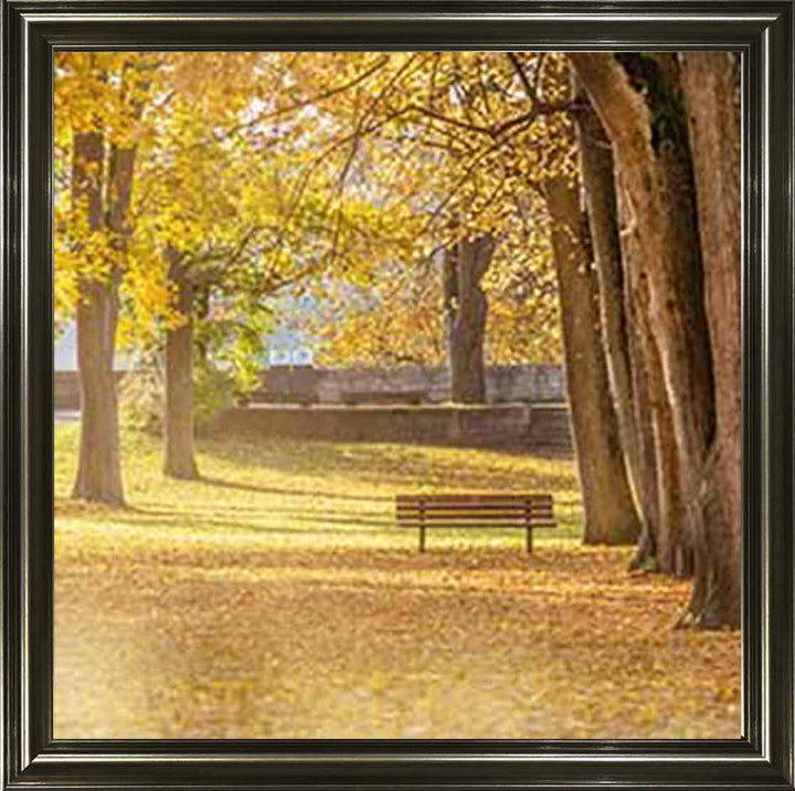 LS352 AUTUMN PARK YELLOW TREE