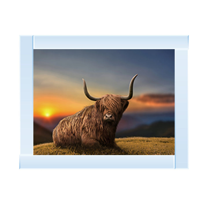 AN687 Highland Cow Sunset