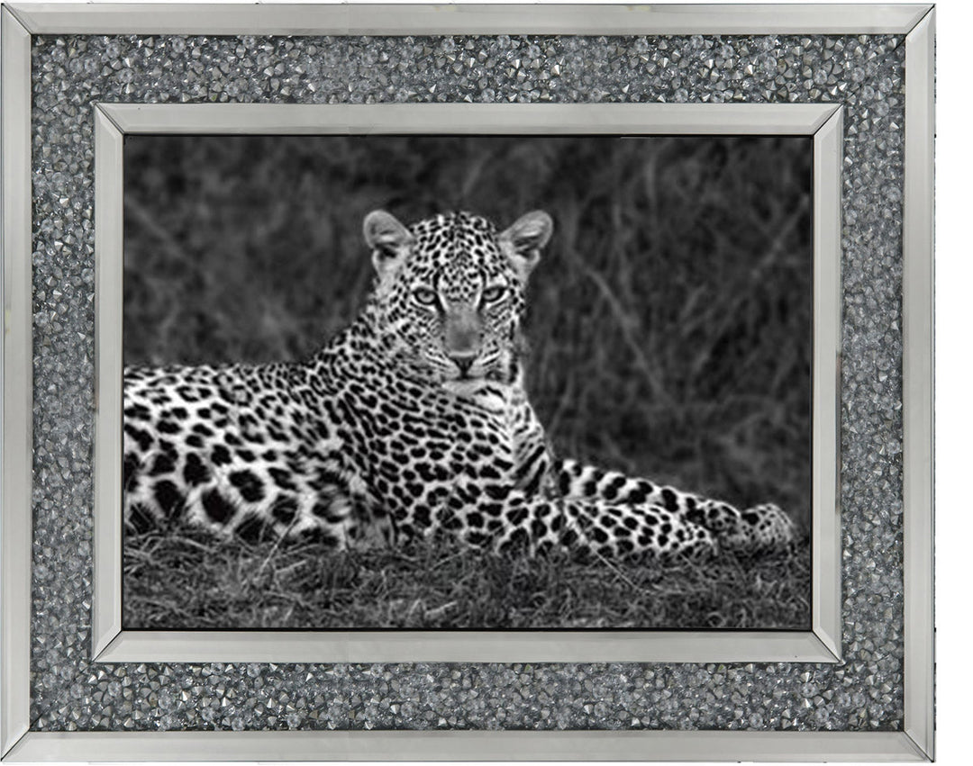 Leopard Monochrome