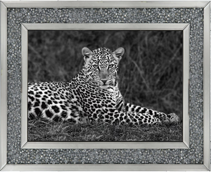 Leopard Monochrome