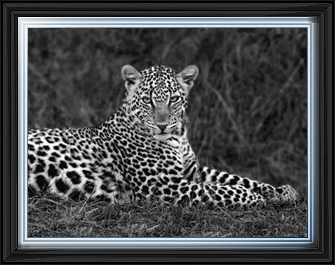 Leopard Monochrome