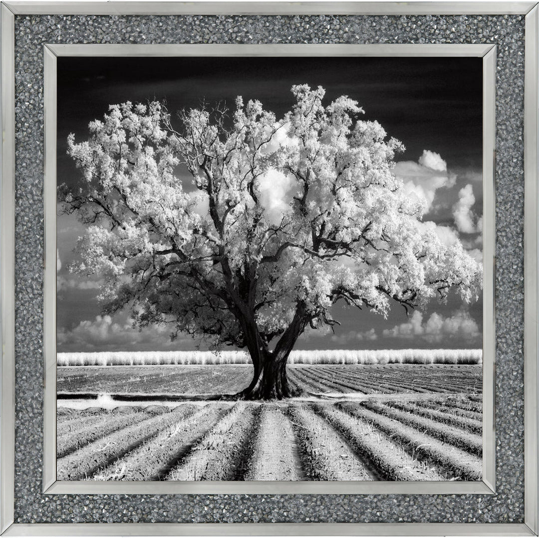 JMP310 Tree in ploughed field