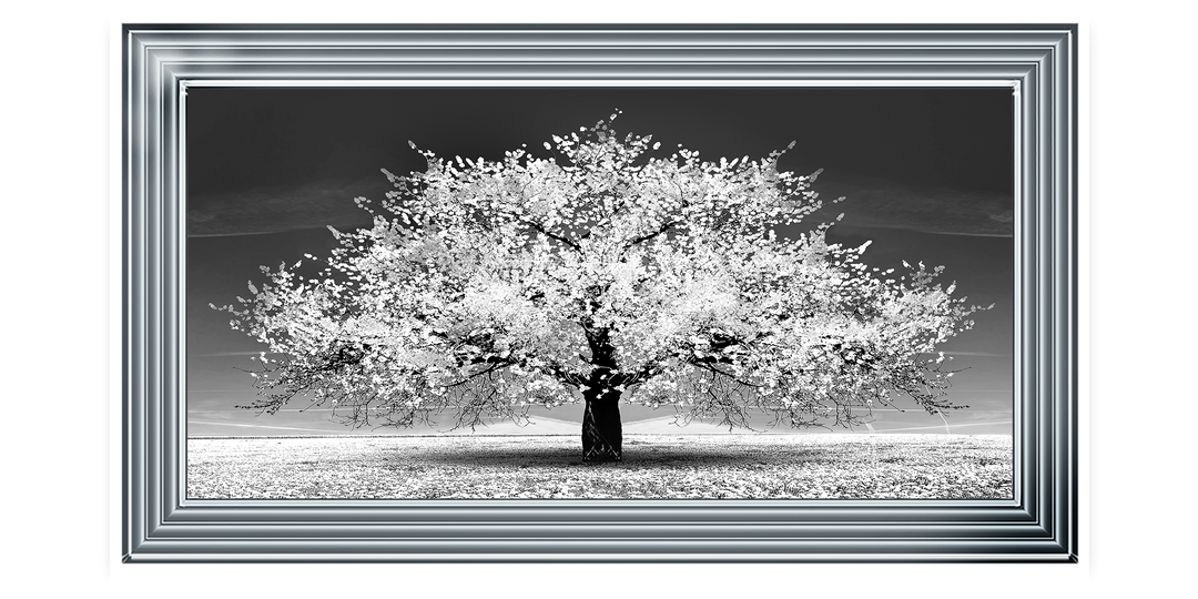 LS291 White Cherry Blossom Tree