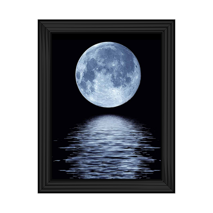 LS293 Full Moon