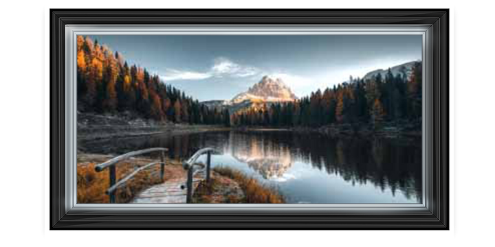 Forest Reflection