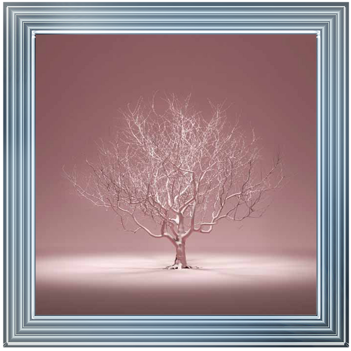Tree at Night Time