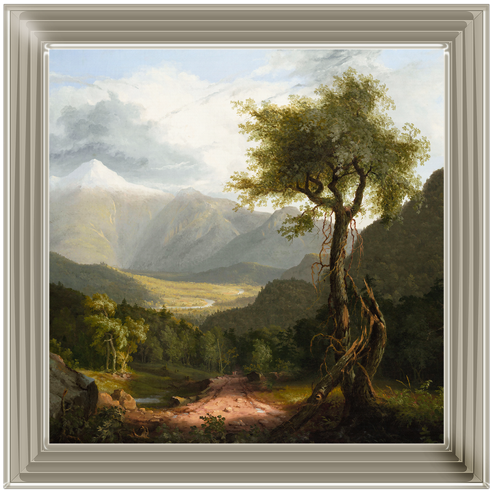 Tree In The Valley