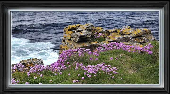 LS398 Purple Flower Beach