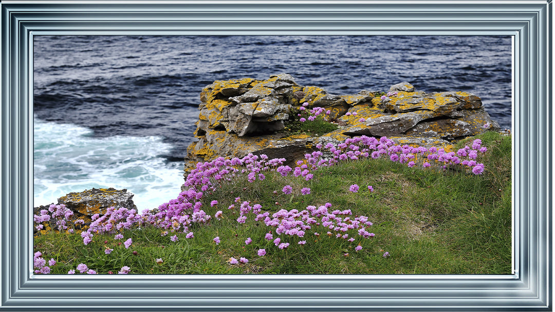 LS398 Purple Flower Beach