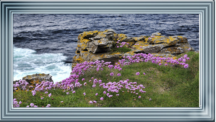 LS398 Purple Flower Beach