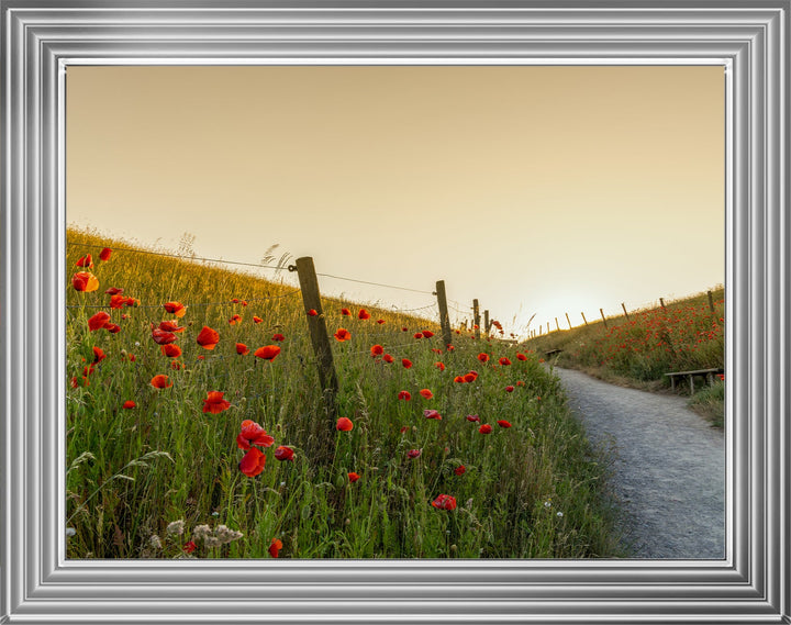 LS407 Countryside Fields
