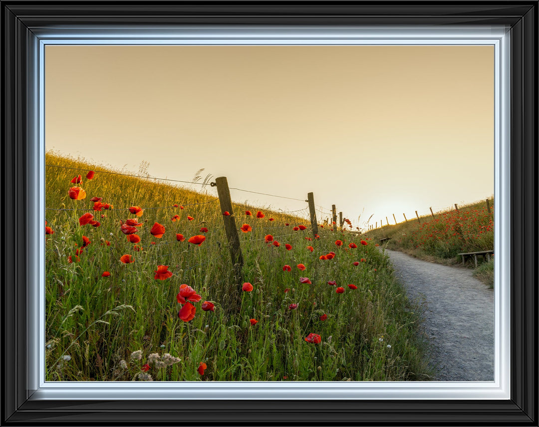 LS407 Countryside Fields