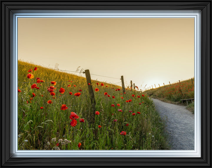 LS407 Countryside Fields