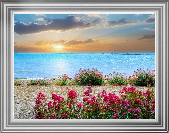 LS410 Red Valerian on beach
