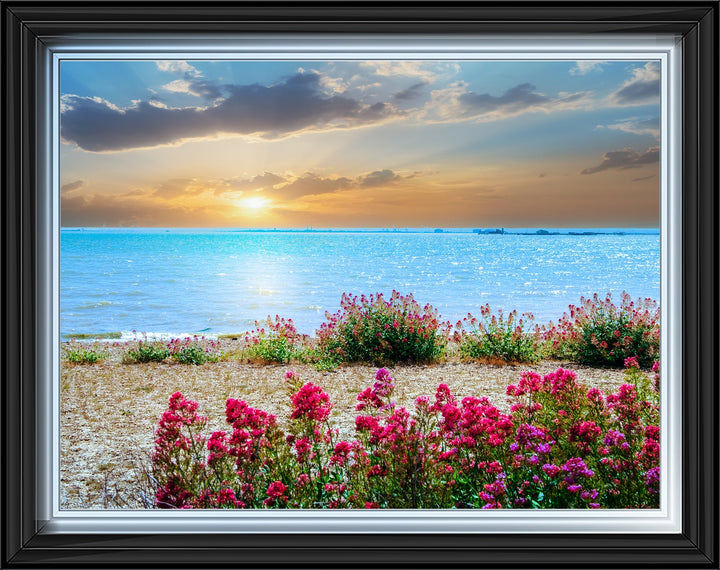 LS410 Red Valerian on beach