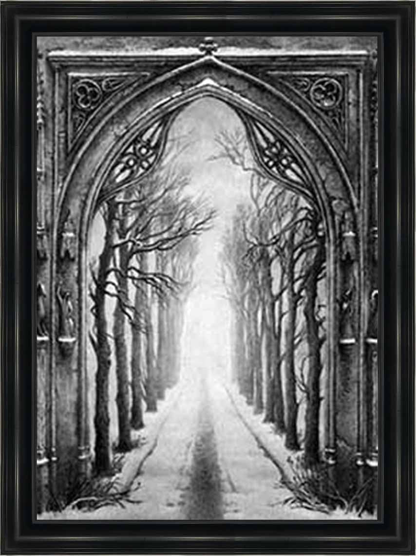 LS359 SNOWY PATHWAY