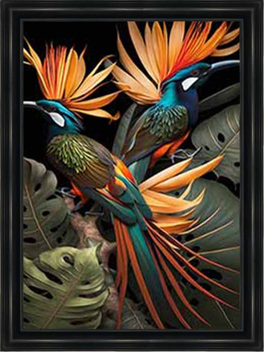 AN1053 Birds From Paradise ||