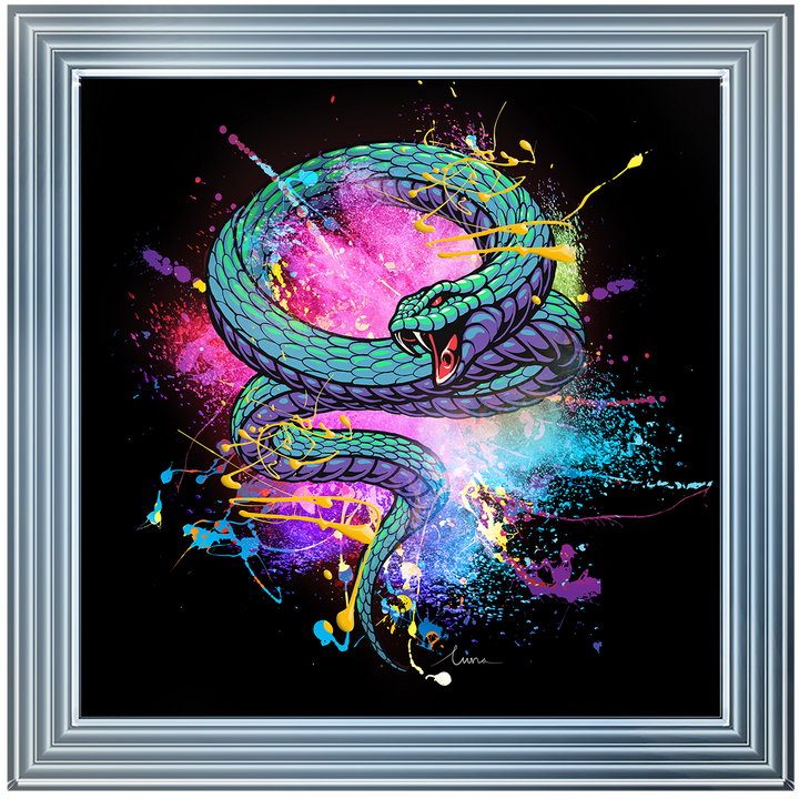 Snake Colour Burst