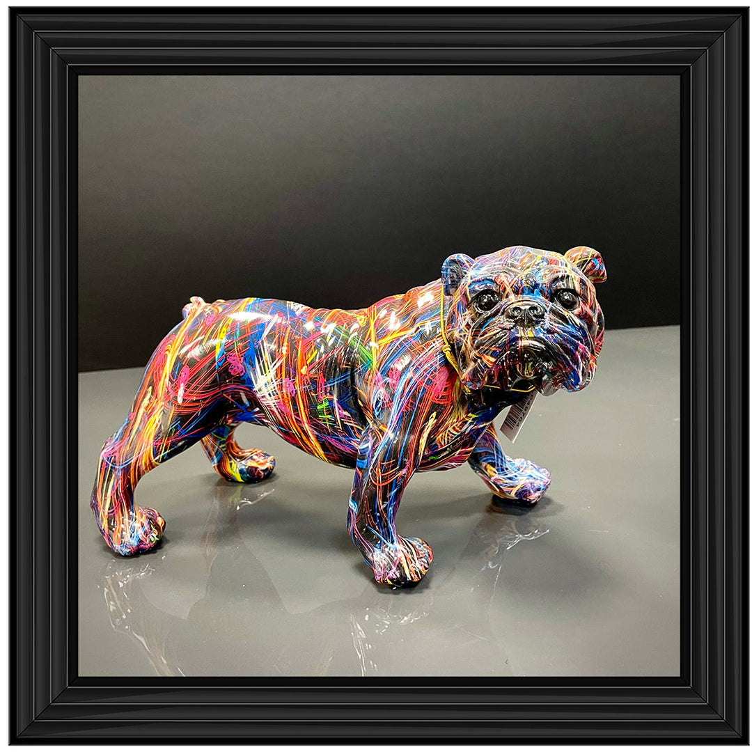 MD419 GRAFFITE BULL DOG ||