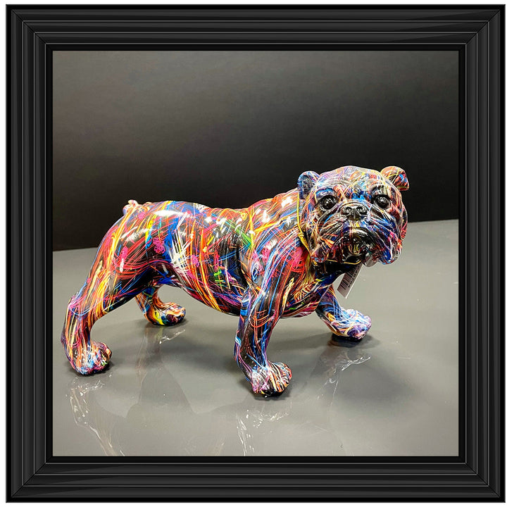 MD419 GRAFFITE BULL DOG ||