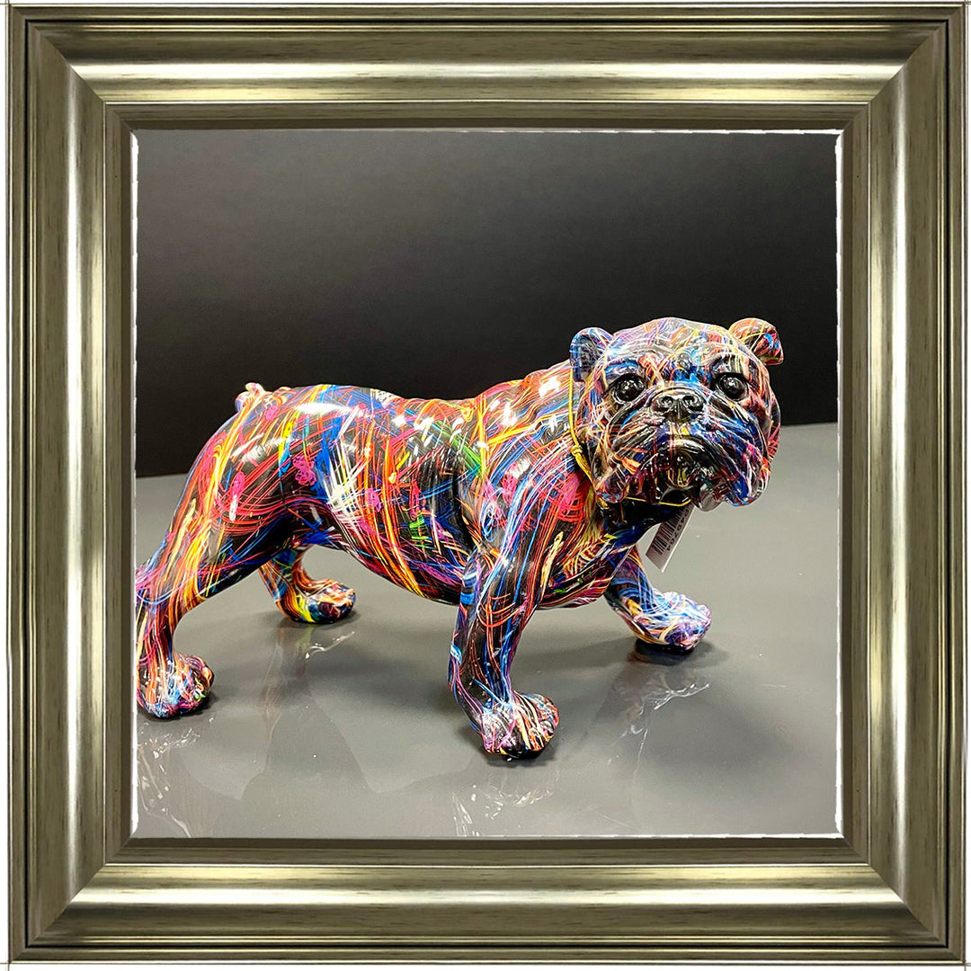 MD419 GRAFFITE BULL DOG ||