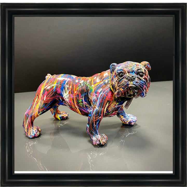 MD419 GRAFFITE BULL DOG ||