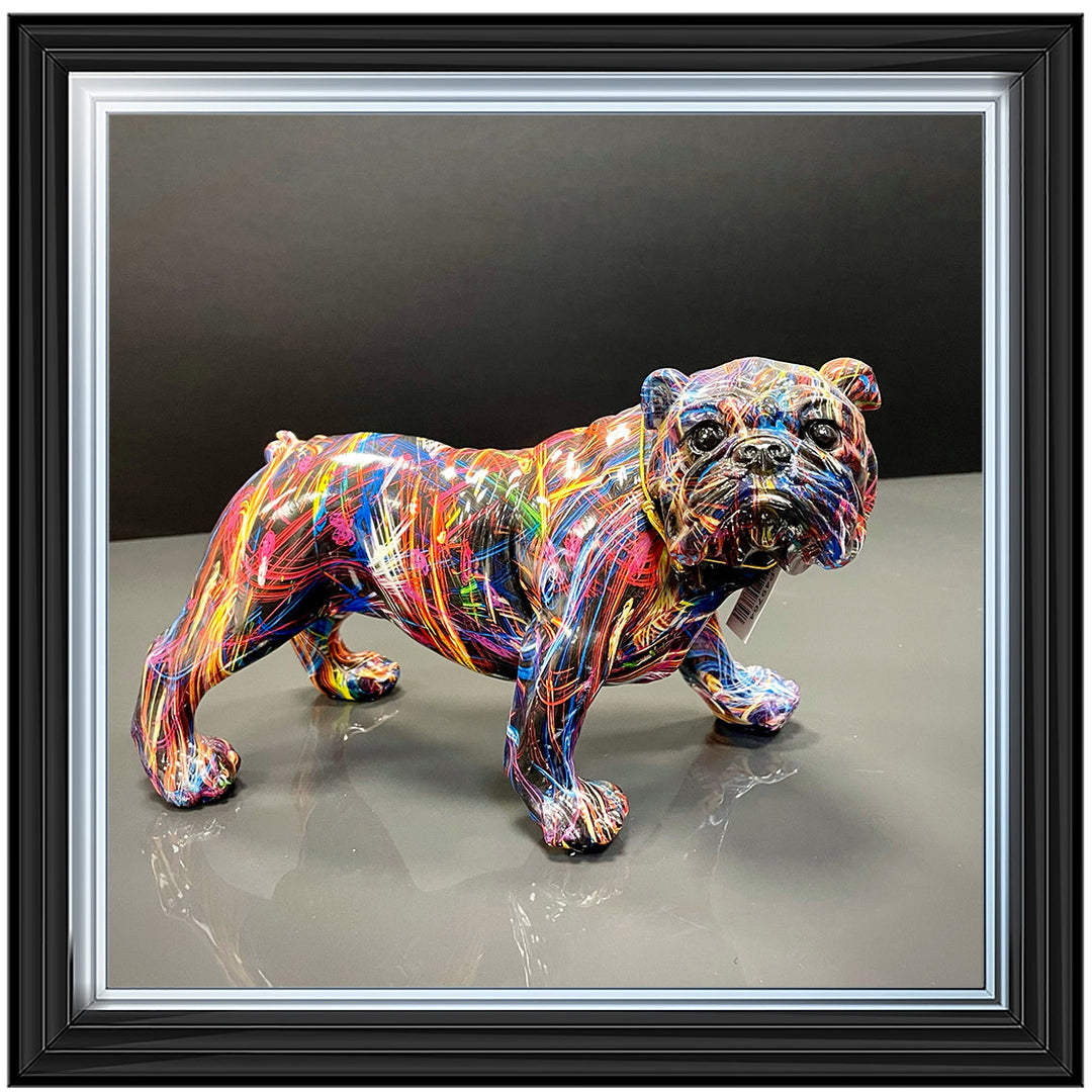 MD419 GRAFFITE BULL DOG ||