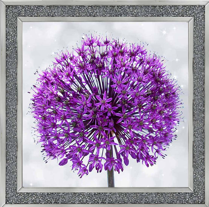 FL493 PURPLE ALLIUM