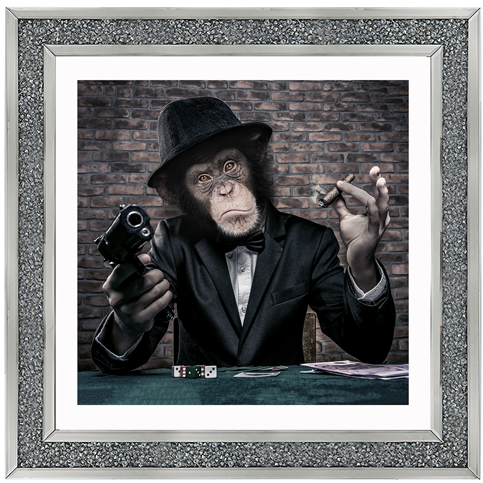 AN178  Gangster Chimp