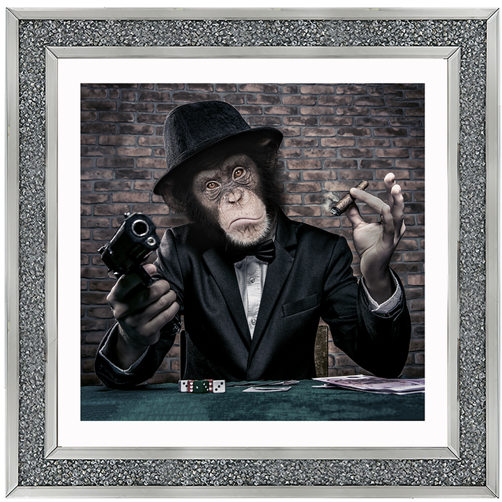 AN178  Gangster Chimp