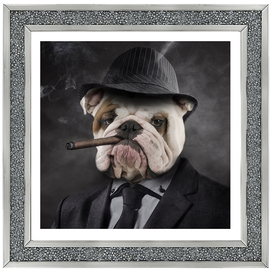 AN183 Gangster Bulldog (border)