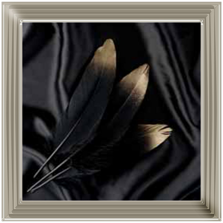 MS461 Golden Feathers ||