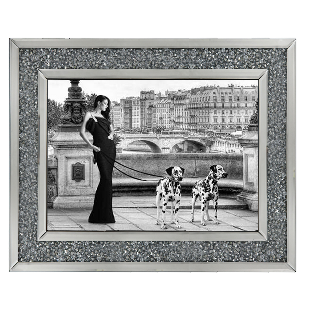FG016 Dalmatians