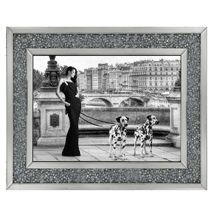 FG016 Dalmatians