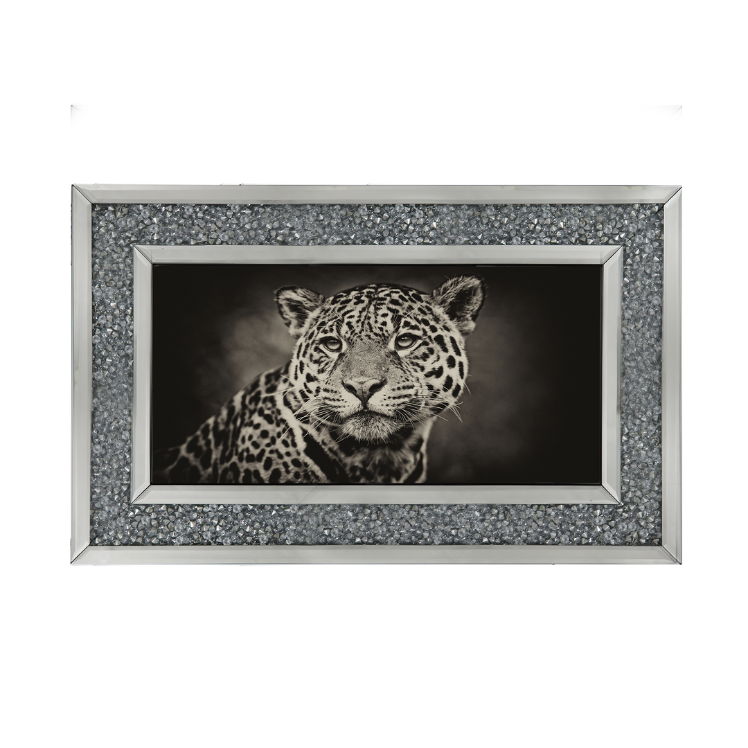 Cheetah in black and white 2
