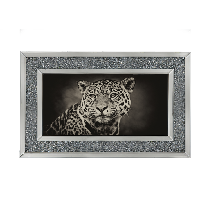 Cheetah in black and white 2