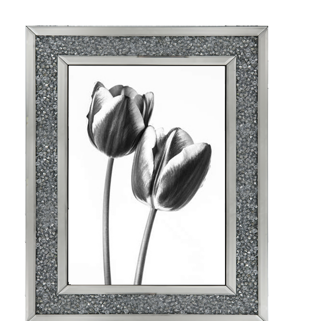Tulips on white background