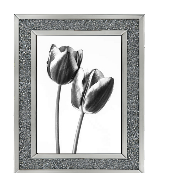 Tulips on white background
