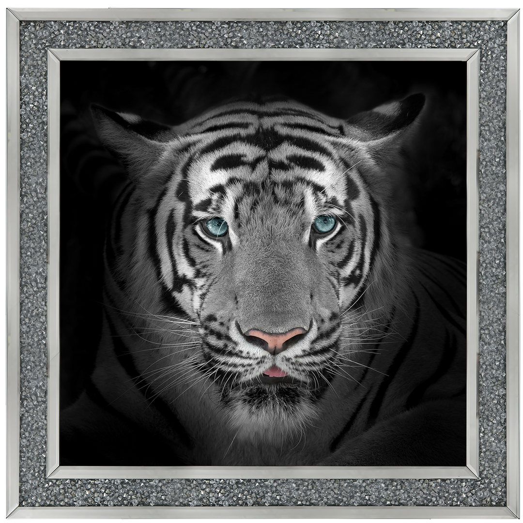 FTST167 Blue Eyes Tiger II