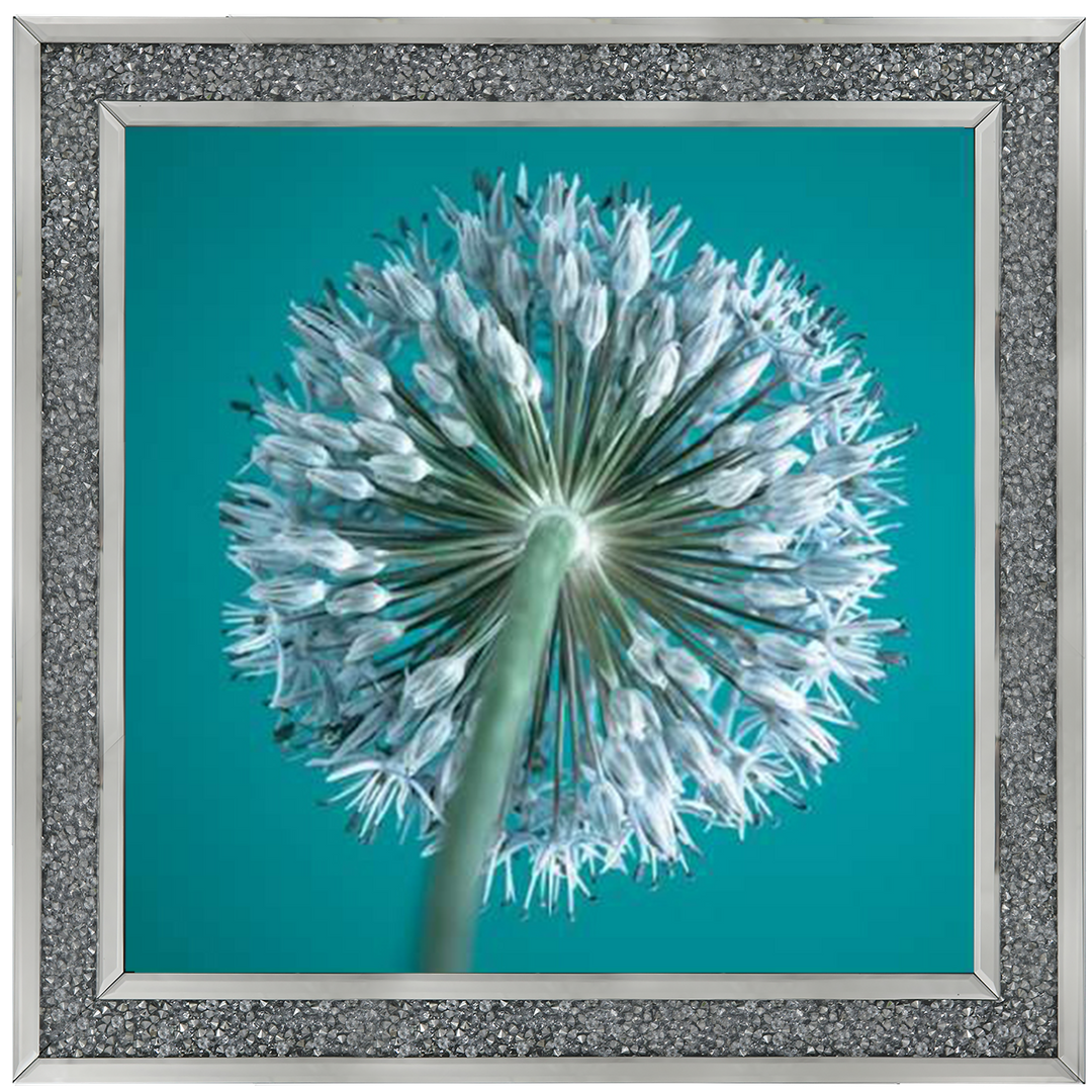 FTBR1121 Alliums, Assaf Frank