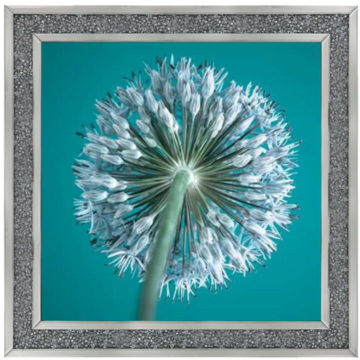 FTBR1121 Alliums, Assaf Frank