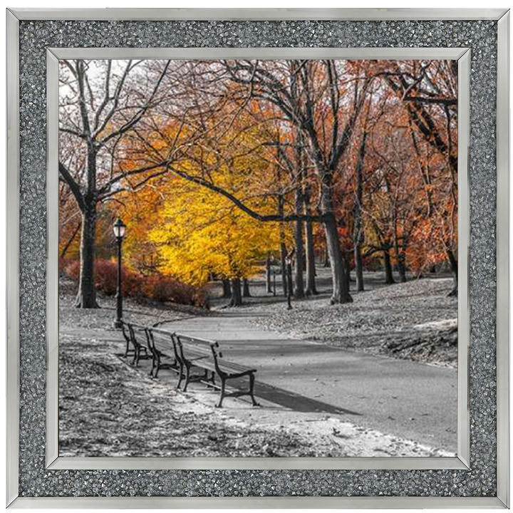 FTBR-1631 New York Yellow Trees in Central Park Assaf Frank